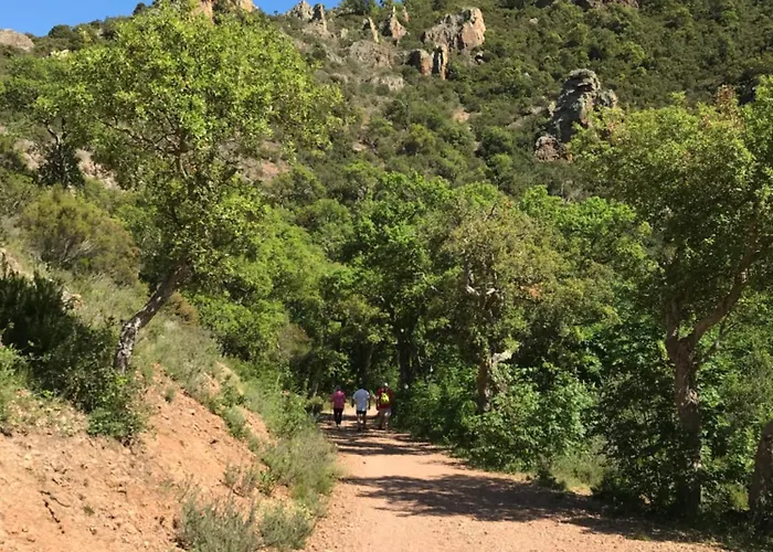 Apartman Envol St Raphael